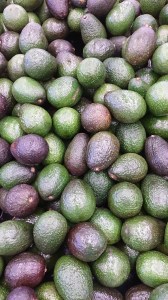 Nice_Avocados
